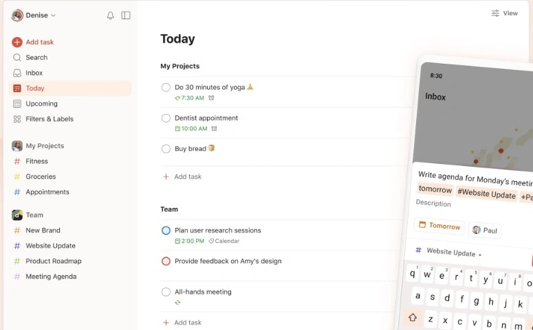 Todoist interface