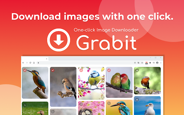 Screenshot 1 of One-click image downloader - Grabit