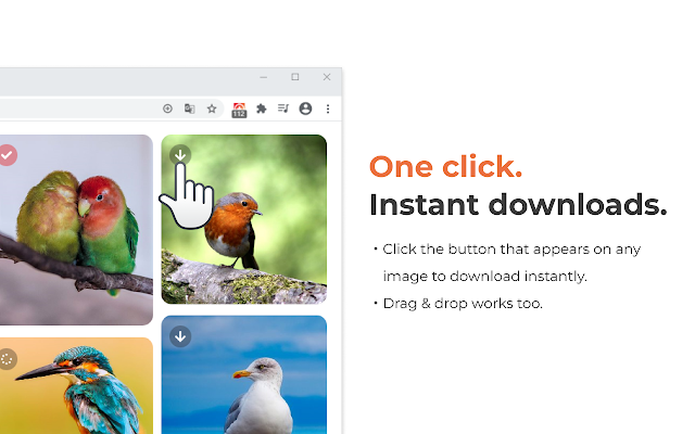 Screenshot 2 of One-click image downloader - Grabit