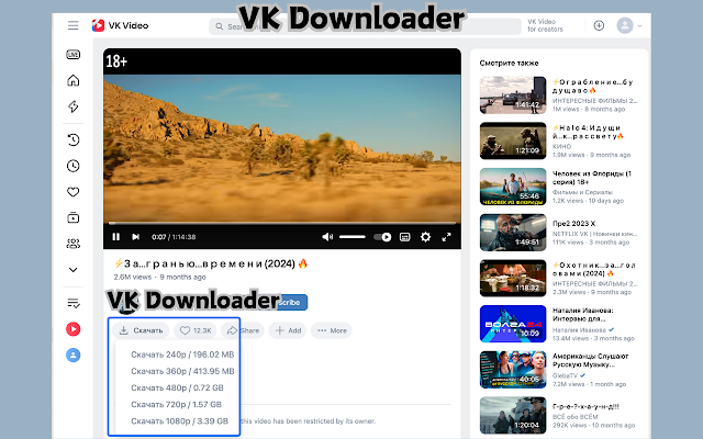 Screenshot 2 of vk video downloader - vk & dzen.ru downloader​